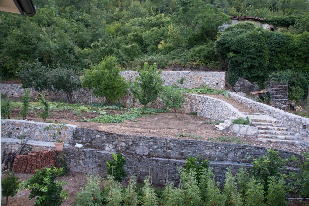וירפזאר Village House Dunja מראה חיצוני תמונה