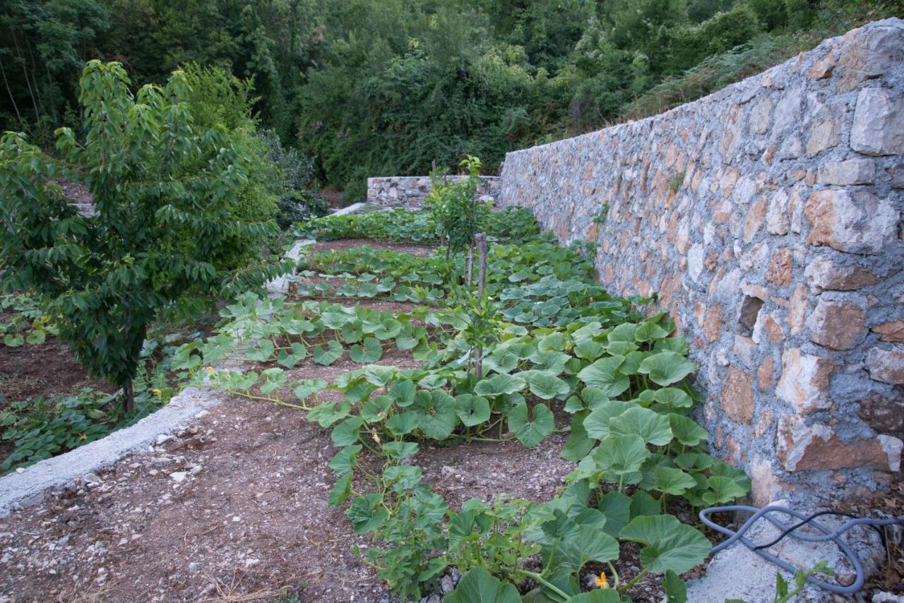 וירפזאר Village House Dunja מראה חיצוני תמונה