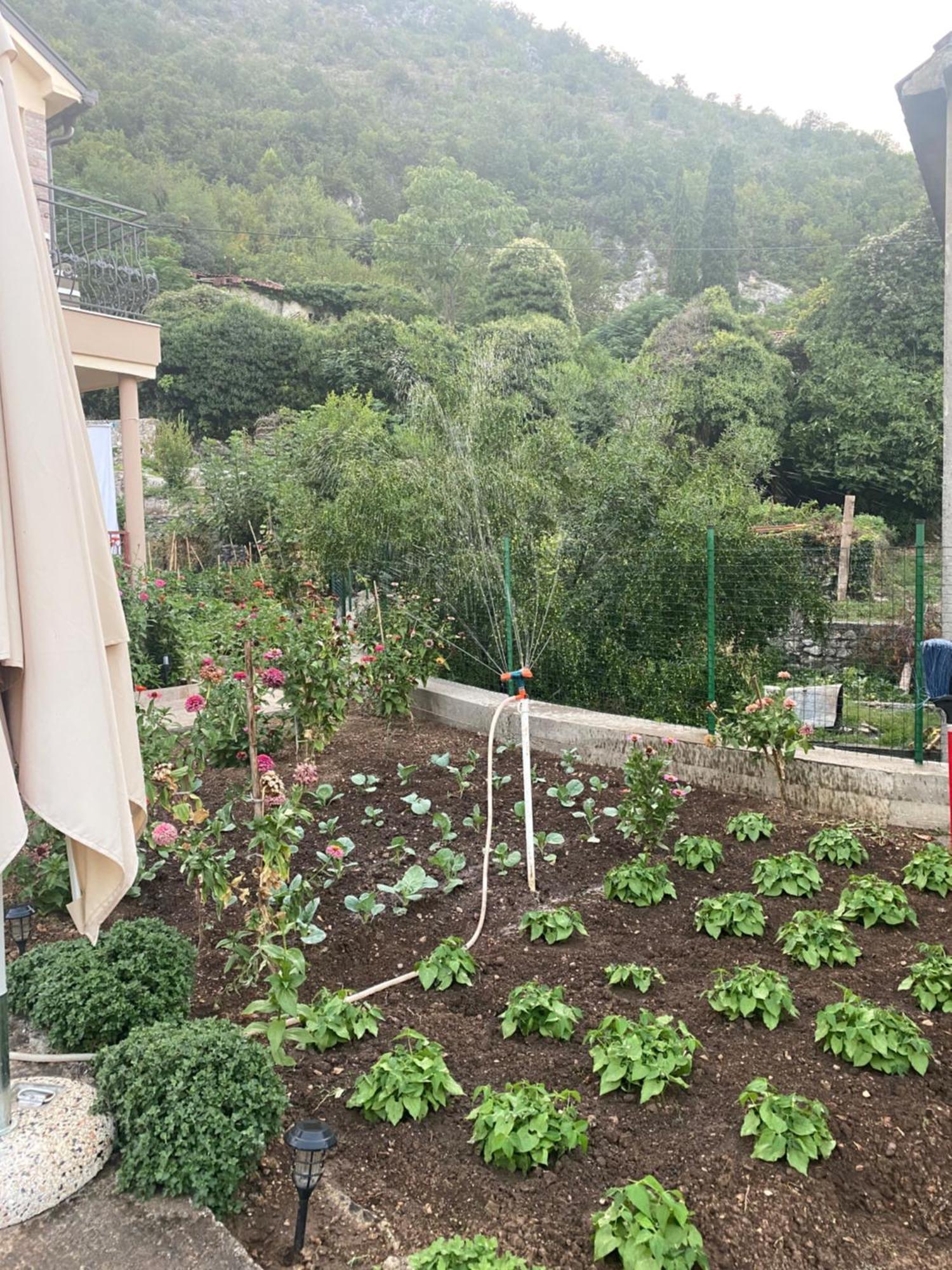 וירפזאר Village House Dunja מראה חיצוני תמונה